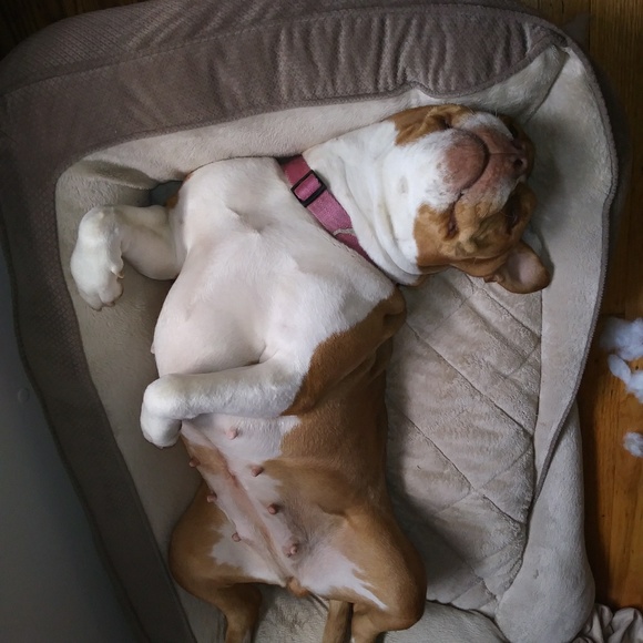 Meet your Posher, Kimberly - Picture 3 of 6